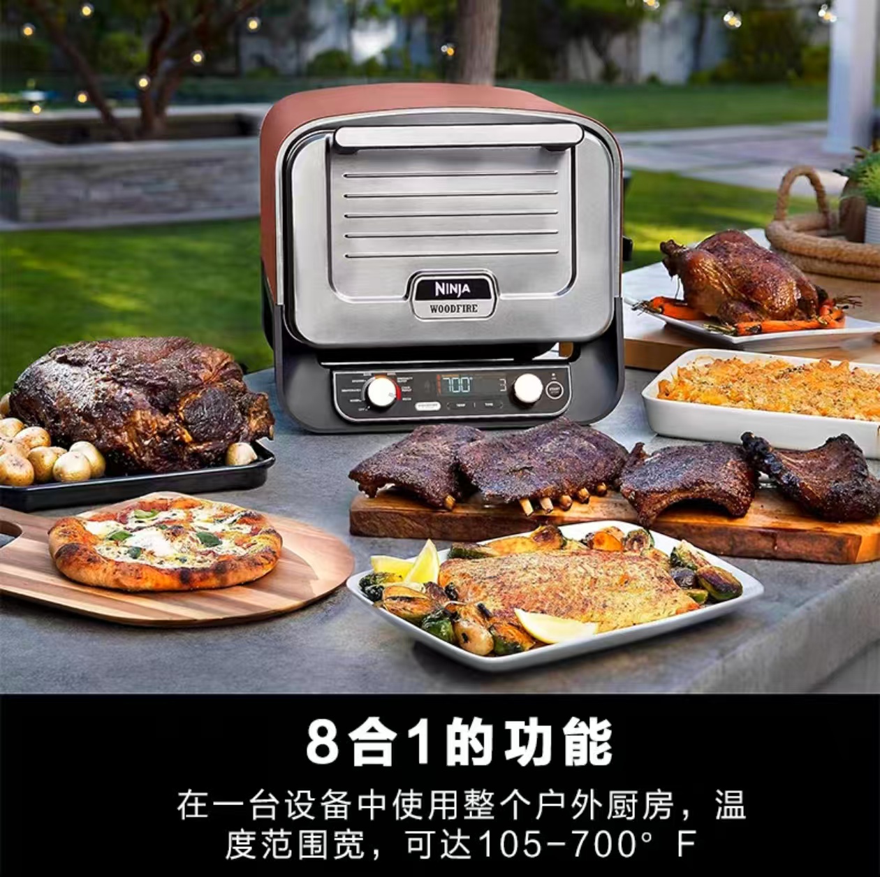 Уличная печь для пиццы 2026 го – обзор и цена Camping Cooking Electric